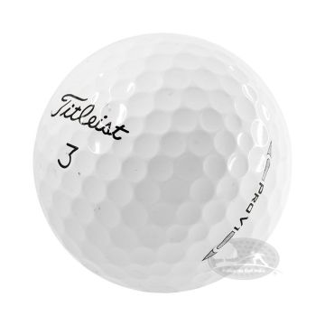 Pro v1/Pro v1x